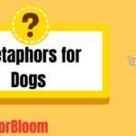 Metaphors for Dogs