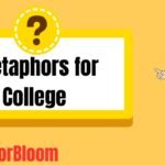 Metaphors for College