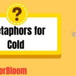 Metaphors for Cold