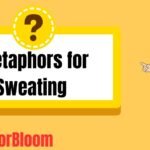 Metaphors for Sweating