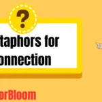 Metaphors for Connection