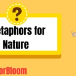 Metaphors for Nature