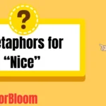 Metaphors for “Nice”