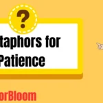 Metaphors for Patience