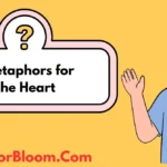 Metaphors for the Heart