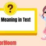 DDM Meaning in Text