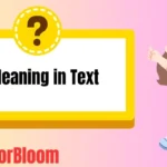 IDT Meaning in Text