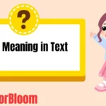 ISO Meaning in Text