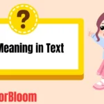 NP Meaning in Text